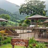 Biến 1000M2 Đất Nền Nghỉ Dưỡng Thành Ngôi Nhà Mơ Ước Tại Bảo Lâm. Sổ Sẵn Cc Ngay