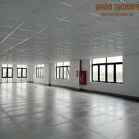 Cho Thuê Văn Phòng Đường 72M, Đại Lộ Vinh - Cửa Lò, Tp Vinh, Nghệ An