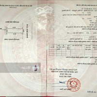 Chính Chủ Gửi Bán Phân Lô Vườn Ổi- Đẹp Như Mơ Giá Đầu Tư Nhỉnh 3Ty Xíu