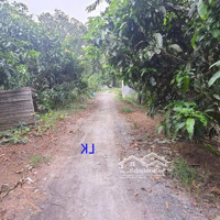 Bán Đất Lúa: 2.600M² (12.5M X 208M) Đường Đá Xe Ba Gác, Xã Nhị Mỹ, H Cao Lãnh