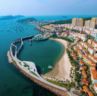 Tôi Có Bán Một Vài Lô Đất Ở An Thới Và Trong Khu Tái Định Cư. Ai Thiện Chí Liên Hệ Zalo 0909090336