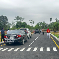 Bán Đất Liền Kề Đồi Sen 71.5M Đường Thông, Khu Phân Lô Đẹp Giá Chỉ 2.5 Tỷ