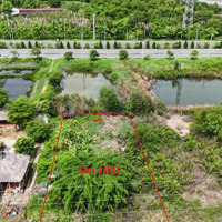 Bán Nhiều Lô Đất Mặt Tiền Rừng Sác Xã Bình Khánh Cần Giờ - Lô Đăng Bán 9.9 Triệu/M2