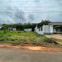 Ngộp Sang Cần 250M2 - 100Tc, Mặt Tiền Nhựa Liên Xã 29M, Sát Trường Thcs & Thpt, Ubnd Giá Chỉ 380 Triệu