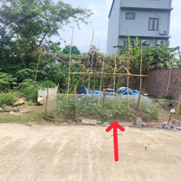 Hoa Hậu Ngọc Bài, Ngọc Liệp, Quốc Oai