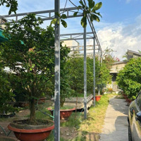 Bán Biệt Thự Đẹp Xuất Sắc Tại Bình Mỹ, Củ Chi, Hcm, 12,8 Tỷ,Diện Tích643M2