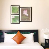 Cho Thuê Ch Cao Cấp 2 Phòng Ngủ Nằm Ngay Trung Tâm Đà Nẵng
