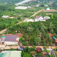 Bán Nhà Riêng 3 Phòng Ngủvà Vườn Xã Mê Linh, Cách Đà Lạt 6Km, Giá Bán 1,65 Tỷ/429M2 3 Phòng Ngủđẹp, Lô Góc 2Mt 11X35M