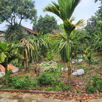 Chỉ Việc Sách Bình Vôi Về Ở, Tại Ba Vì, Hà Nộidiện Tích1415M2 Liên Hệ: 0979534028