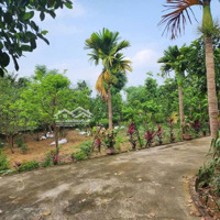 Chỉ Việc Sách Bình Vôi Về Ở, Tại Ba Vì, Hà Nộidiện Tích1415M2 Liên Hệ: 0979534028