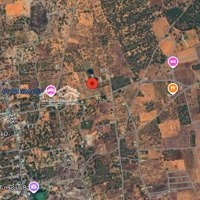 Bán Đất Khu Đường Sỏi, Gần Sân Bay Xã Thiện Nghiệp, Phan Thiết, Bình Thuận. 4997,6M2