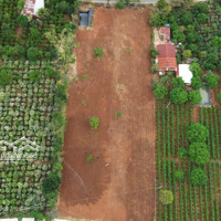 Bán Đất Mặt Tiền Nhựa 725, Đối Diện Cà Phê Mê Linh Garden