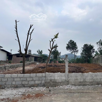 Bán Đất Đẹp Nhất Ba Trại, 1430M2 Có 150M Đất Ở Bám Đường 2 Ô Tô Tránh Nở Hậu Đẹp 3, 3 Triệu/M2, Ba Vì Hn