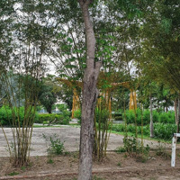 Bán Đất Tại Thị Trấn Lai Uyên, Bàu Bàng, Bình Dương, 860 Triệu, 80 M2, Giá Cực Chất Chỉ Với