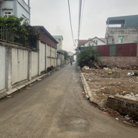 Bấm Là Mua Lô Đất Bắc Hồng, Gần Dự Án Vingroup - 49 M2 Mặt Tiền 5M Ngõ Ô Tô, Sổ Sẵn! Nhỉnh 3 Tỷ