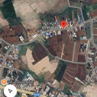 Chính Chủ Cần Bán Gấp Lô Đất Vị Trí Đẹpmặt Tiềnđường Nhựa Ngay Xã Phú Hội, Đức Trọng, Lâm Đồng