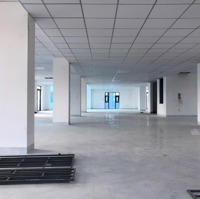 Mặt Bằng Tầng 5Diện Tích500M2 Giá Thuê 50 Triệu/Th Thích Quảng Đức Vcn Phước Hải