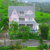 Sẵn Hạ Tầng Đẹp Khu Làng Châu Âu, Diện Tích 585M2 3 Mặt Đường, Ôtô Tránh Khuôn Viên Đẹp Đủ Tiện Ích