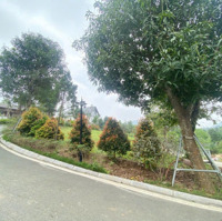 Sẵn Hạ Tầng Đẹp Khu Làng Châu Âu, Diện Tích 585M2 3 Mặt Đường, Ôtô Tránh Khuôn Viên Đẹp Đủ Tiện Ích