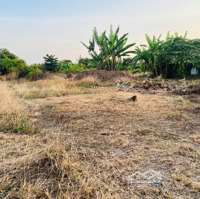 Đất Mặt Tiền Tỉnh Lộ 902,Diện Tích6200M2, Mỹ An, Mang Thít, Vĩnh Long. Giá Chỉ 4 Triệuiệu/M2
