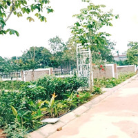 Diện Tích: 466M2 / 100M2 Thổ Cư. Hai Mặt Đường. Vị Trí Rất Đẹp. Xung Quanh Có Nhiều Villa. Giá Tốt.