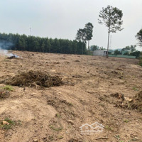 Cho Thuê 8000 Đât Trống Và Nhà Xã Tam Phước Bien Hòa Đồng Nai