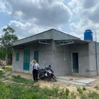 Cho Thuê 8000 Đât Trống Và Nhà Xã Tam Phước Bien Hòa Đồng Nai