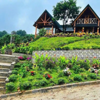 Nhà Gỗ Nghỉ Dưỡng View Siêu Đẹp