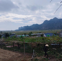 Chính Chủ Bán Đất Tại Cát Bà View Khu Biệt Thự, Sân Golf