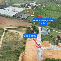Bán Lô Đất Thổ Cư 228 M2- Đối Diện Viện Nghiên Cứu Cây Trồng- Đường Rộng: 8M- Giá: 240 Triệu/ Nền