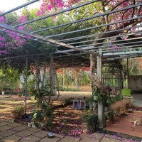 Bán Gấp Nhà Riêng Tại Xã Long Phước, Bà Rịa, Bà Rịa Vũng Tàu, 10 Tỷ, 1000M2