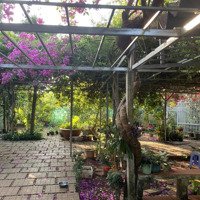 Bán Gấp Nhà Riêng Tại Xã Long Phước, Bà Rịa, Bà Rịa Vũng Tàu, 10 Tỷ, 1000M2
