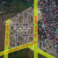 Bán Đất Dịch Vụ Khu X1 Đông Hội ,Mai Lâm Diện Tích 80M, Mặt Đường 25M, 2 Mặt Thoáng