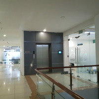 Chủ Cần Bán Gấp Lô 220M2 Văn Phòng Tòa Vov Mễ Trì Plaza, Mễ Trì, Nam Từ Liêm, Hà Nội