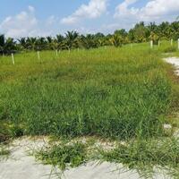 bán nền biệt thự 430m2 , giá đầu tư phường phú tân , bến tre