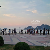 Quỹ Hàng Ngoại Giao, Đẹp Vip Nhất Xanh Island Cát Bà