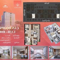 Bán Cc Eden Garden Thái Bình, 2,4 Tỷ, 77M2, 2 Phòng Ngủ 2 Vệ Sinh Nhiều Tiện Ích Đẹp