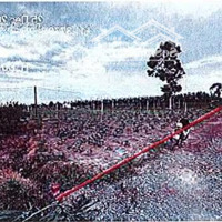 Bán Đgts Đất Tại Xã Suối Đá, Huyện Dương Minh Châu, Tỉnh Tây Ninh