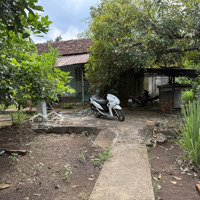 Bán 5.686 M2 Đất Ven Sông + Nhà Cấp 4, Có Sẵn 300 M2 Thổ Cư. Tại Xã Bình An, Long Thành, Đồng Nai.