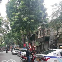 Bán Nhà Mặt Phố Trần Xuân Soạn Trung Tâm Q. Hai Bà Kinh Doanh Đa Dạng Giá Tốt, Hiếm Bán