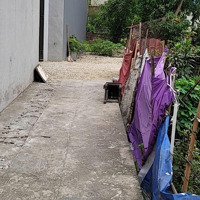 Bán Gấp Đất Thôn Lê Xá, Xã Đông Hội, Cách Vinhomes Cổ Loa, Cầu Tứ Liên 500M