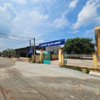 Đất Lộc Hưng - Trảng Bàng, Gần Trường Th Thanh Hoa, 8X50M Giá Chỉ 495 Triệu