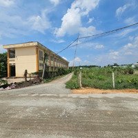 Đất Lộc Hưng - Trảng Bàng, Gần Trường Th Thanh Hoa, 8X50M Giá Chỉ 495 Triệu