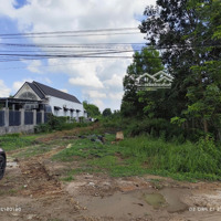 Bán Đất Diện Tích 2279M2, Có 200M2 Thổ Cư, Giá Siêu Hời 6 Tỷ Tại Đường 789, Trảng Bàng, Tây Ninh