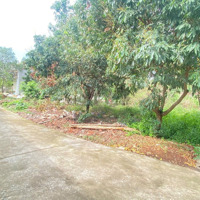 Bán Lô Đất Đẹp Giá Hời Ngay Trung Tâm Thị Trấn Kép Full Thổ Cư 282M Mặt Tiền 13M Giá Chỉ Hơn 1 Tỷ