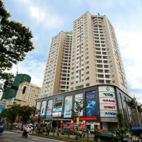 Bán Gấp Biệt Thự Nhà Vườn 173 Xuân Thủy, Giá Cực Chất 42 Tỷ, 110M2