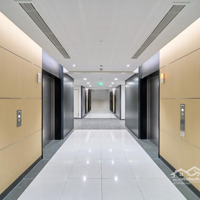 Cho Thuê Vp Tòa Nhà Taisei Square Hanoi, 289 Khuất Duy Tiến, Cầu Giấy.diện Tích200M²-515M²-731M²-1246M²