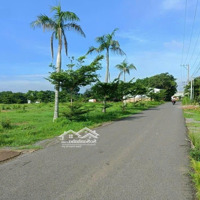 Bán Gấp Đất Nền 100M2, 1,3 Tỷ Tại Đường Tây Hòa 7, Xã Tây Hòa, Trảng Bom, Đồng Nai