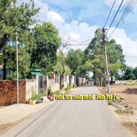 Đất Đẹp Mặt Tiền Đường Nhựa Quảng Tiến Trảng Bon Giá Mềm Lân Cận Kcn Giang Điền, Kcn Bàu Xéo(Shr)