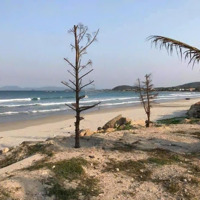 Cần Bán Gấp Mảnh Đất Mặt Biển Ninh Vân Khánh Hoà Nha Trang, Diện Tích : 739M2 Giá Bán: 6Ti Thương